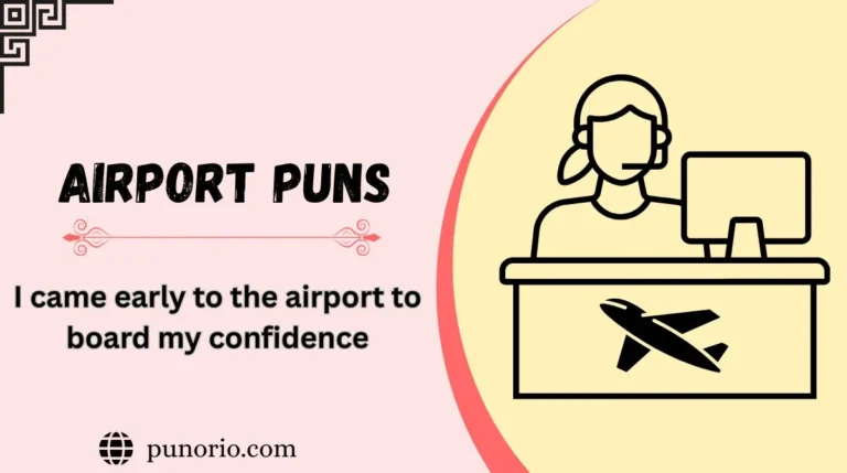 Airport Puns