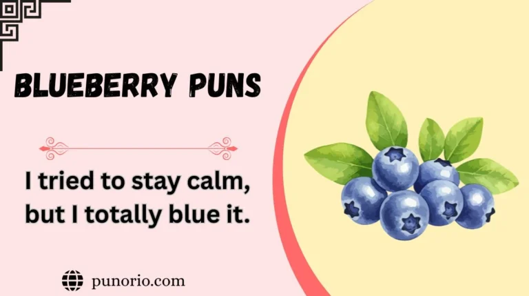 Blueberry Puns