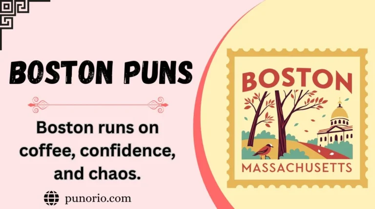 Boston Puns