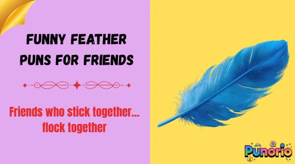 Funny Feather Puns for Friends