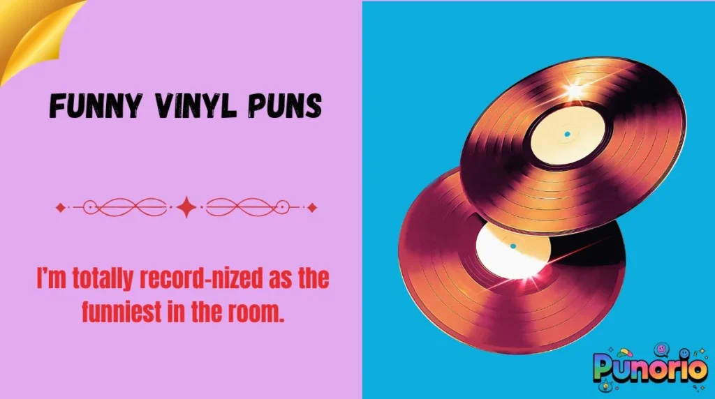 Funny Vinyl Puns