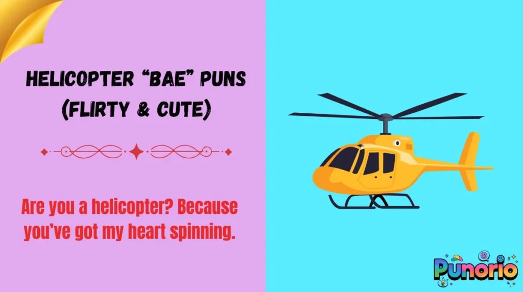 Helicopter ābaeā puns (flirty & cute)