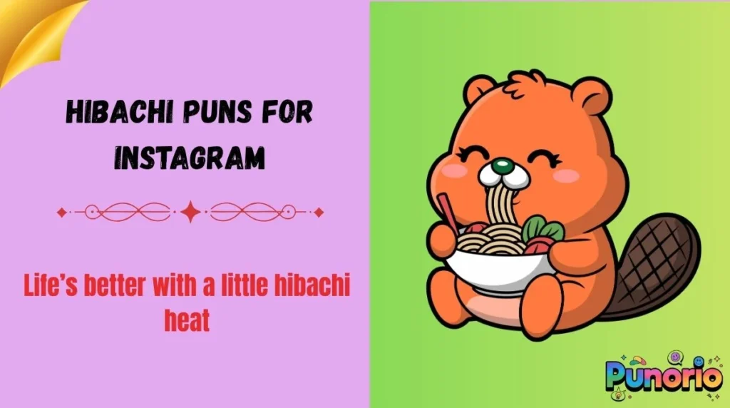 Hibachi Puns for Instagram