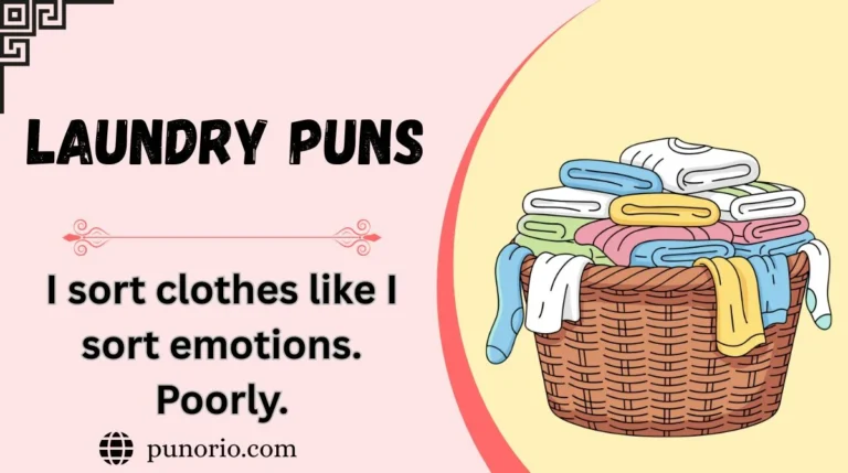 Laundry Puns
