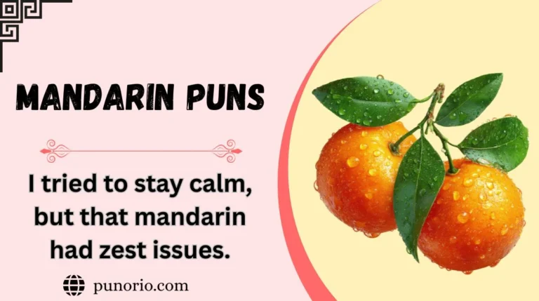 Mandarin Puns