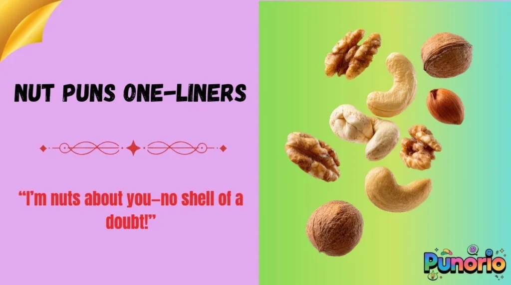 Nut Puns One-Liners