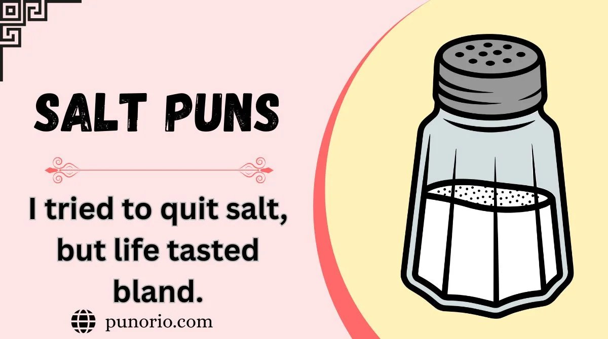 🧂 146+ Salt Puns That’ll Season Your Humor in 2026 Updated(Too Fresh to ...