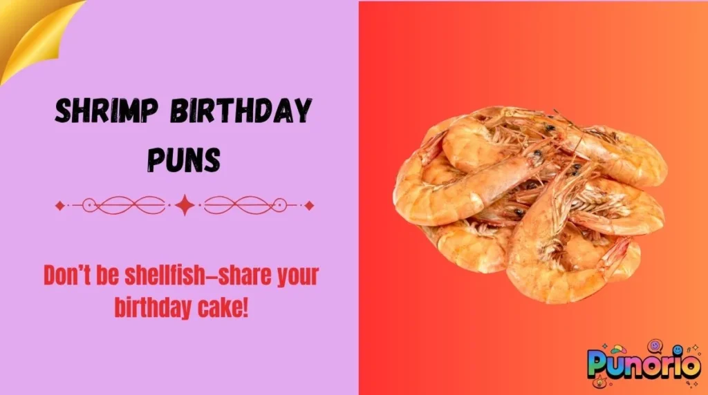 Shrimp Birthday Puns