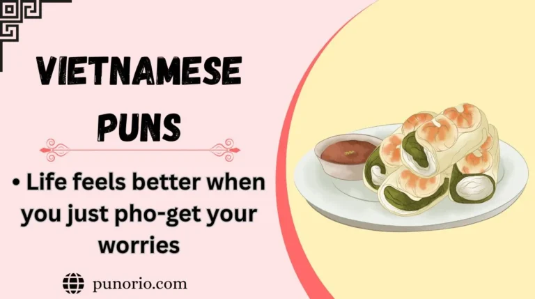 Vietnamese Puns