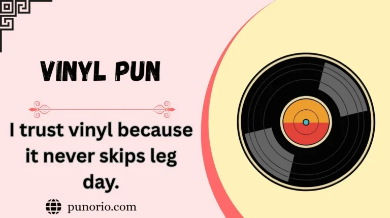 Vinyl Pun