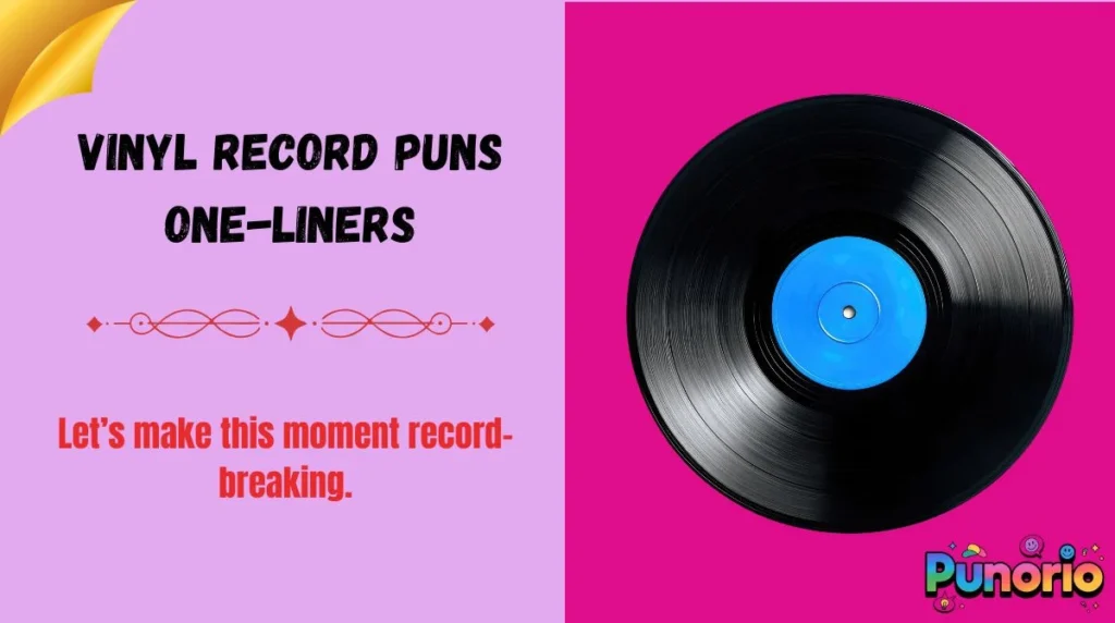Vinyl Record Puns One-Liners