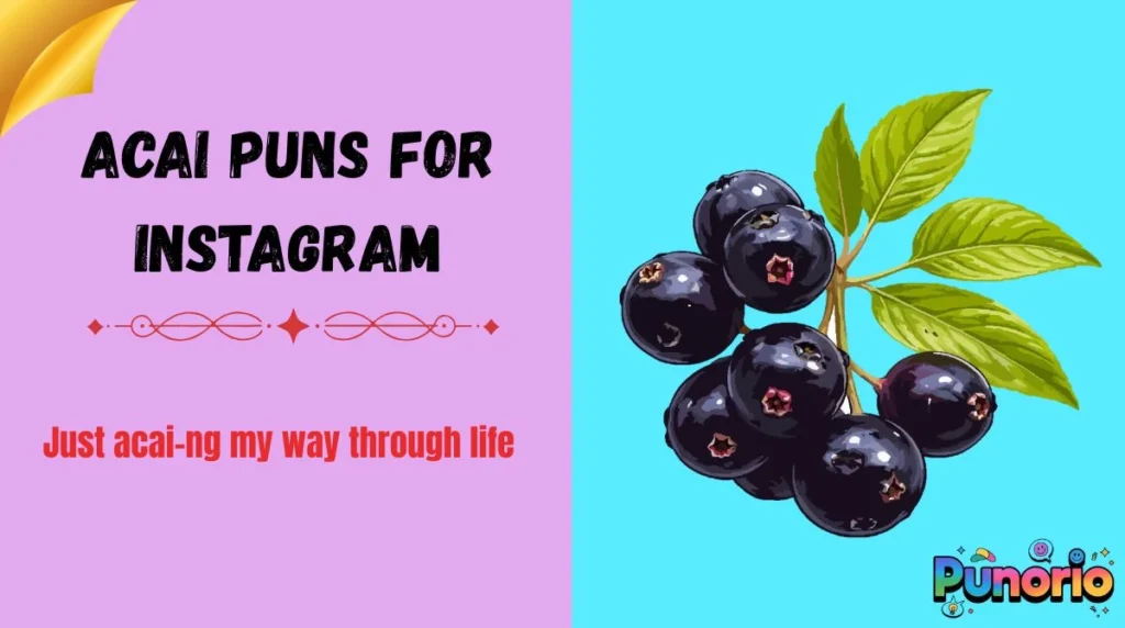 Acai Puns for Instagram