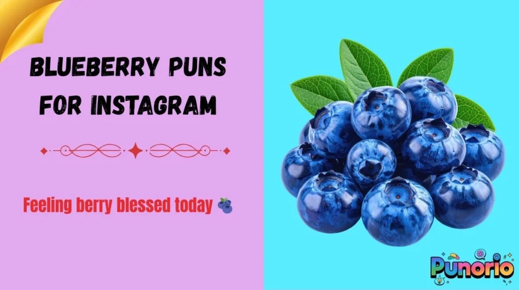 Blueberry puns for Instagram