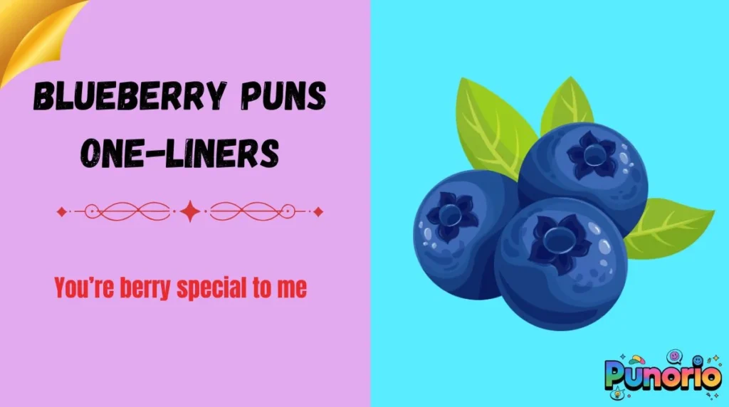 Blueberry puns one-liners