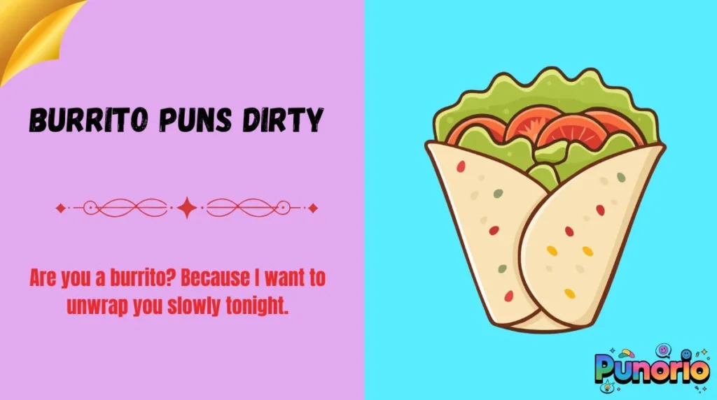 Burrito Puns Dirty