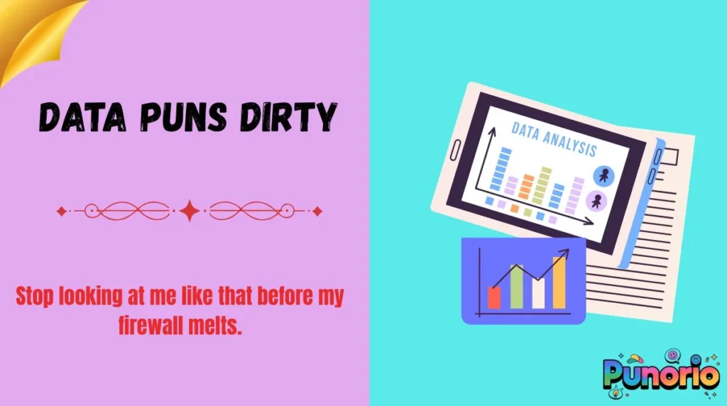 Data Puns Dirty
