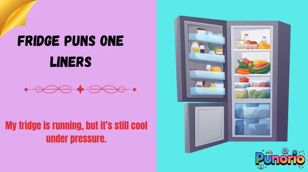 Fridge Puns One Liners