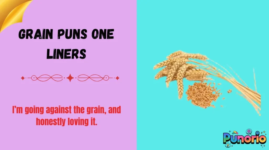 Grain Puns One Liners