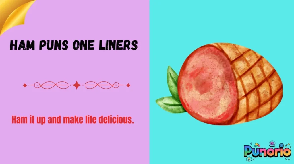 Ham Puns One Liners