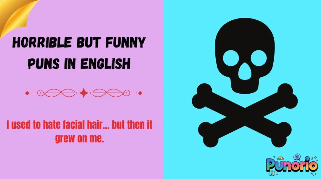 Horrible but Funny Puns in English