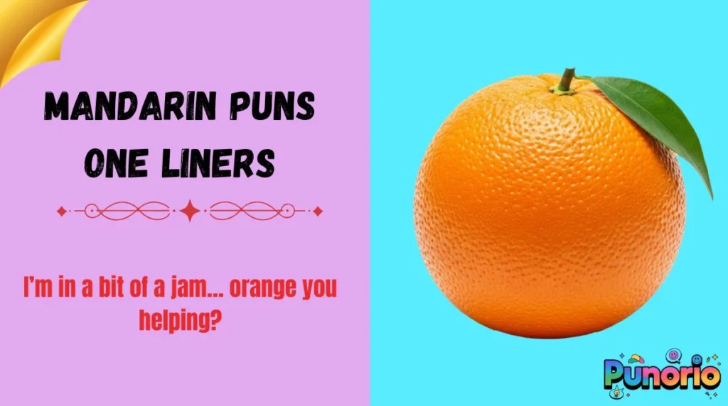 Mandarin Puns One Liners