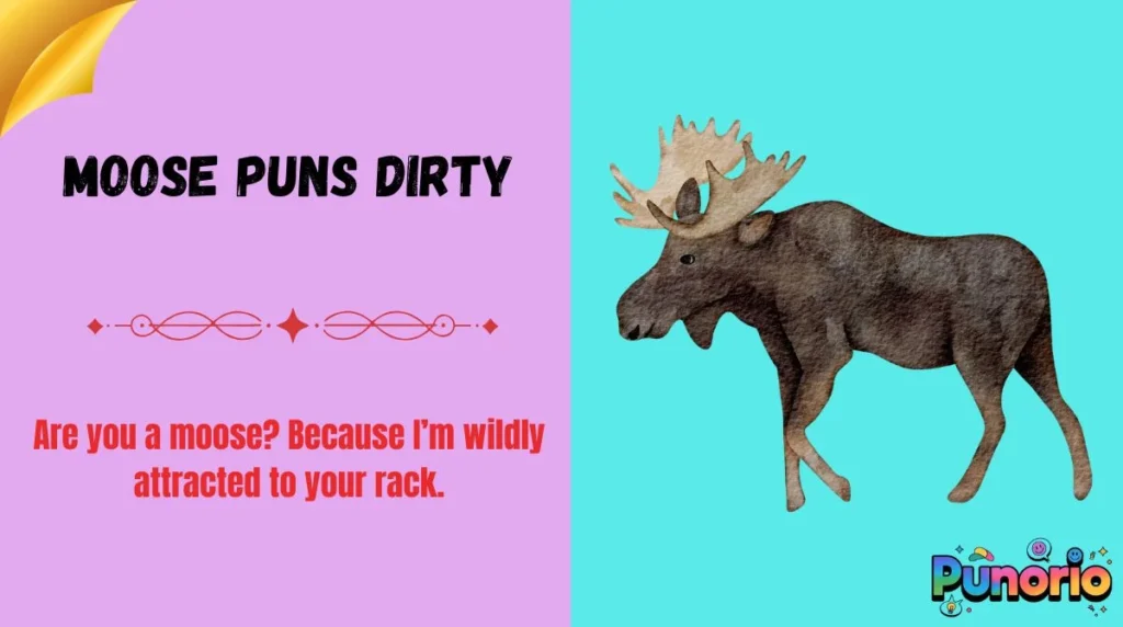 Moose Puns Dirty
