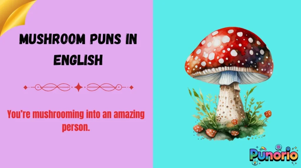Mushroom Puns in English