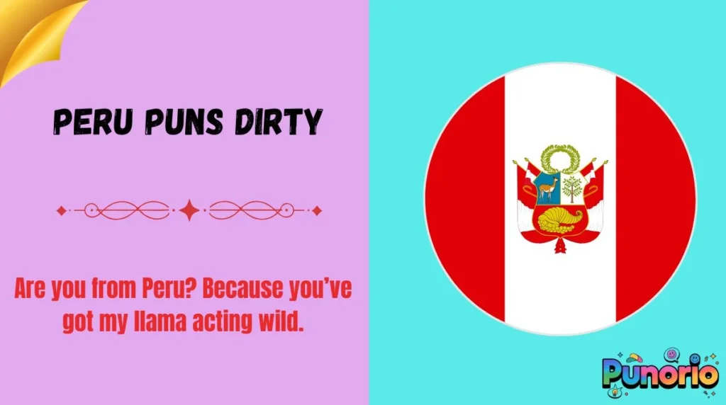 Peru Puns Dirty