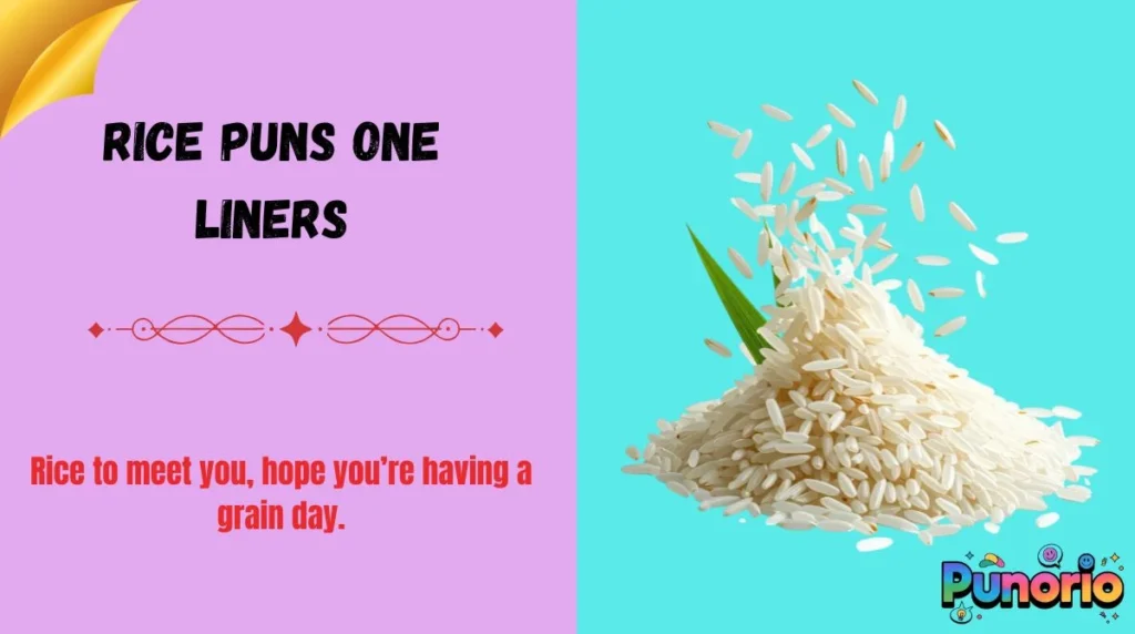 Rice Puns One Liners