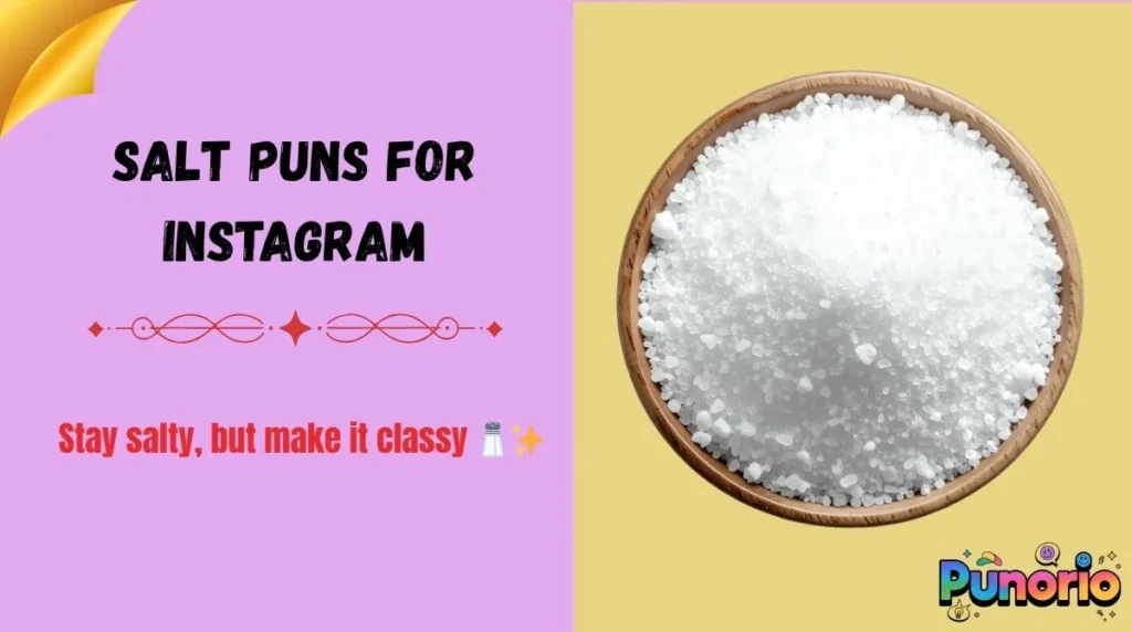 Salt Puns for Instagram