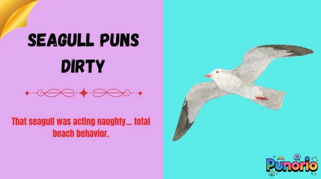 Seagull Puns Dirty