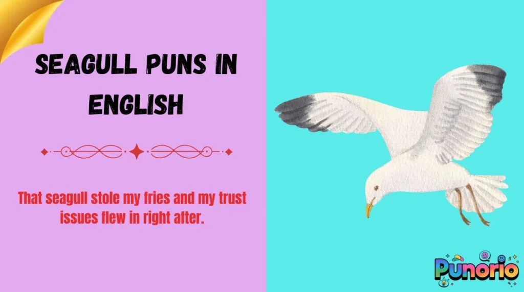 Seagull Puns in English