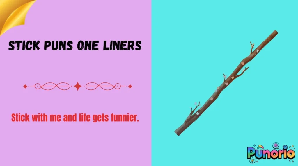Stick Puns One Liners