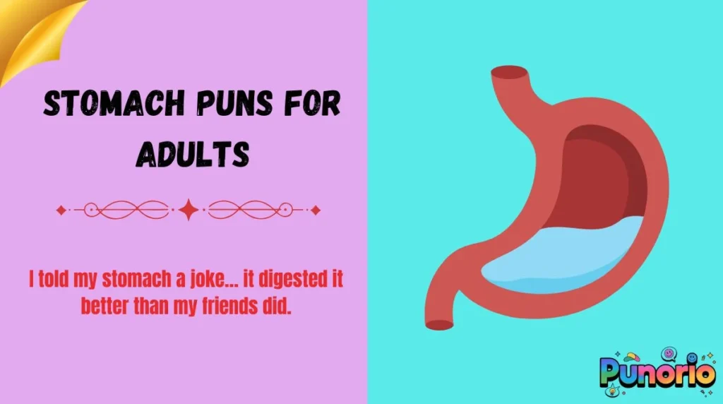 Stomach Puns for Adults
