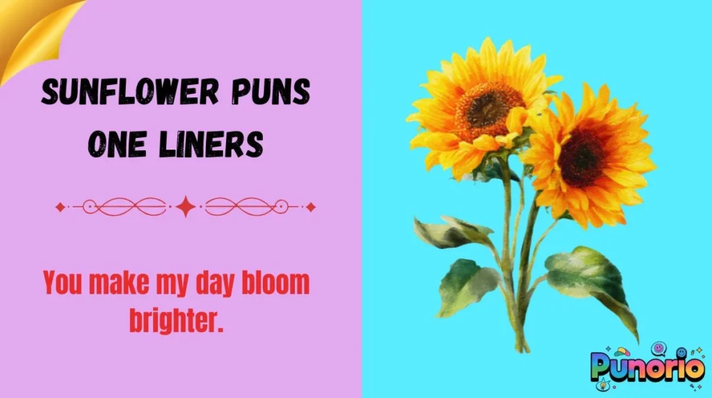 Sunflower puns one liners