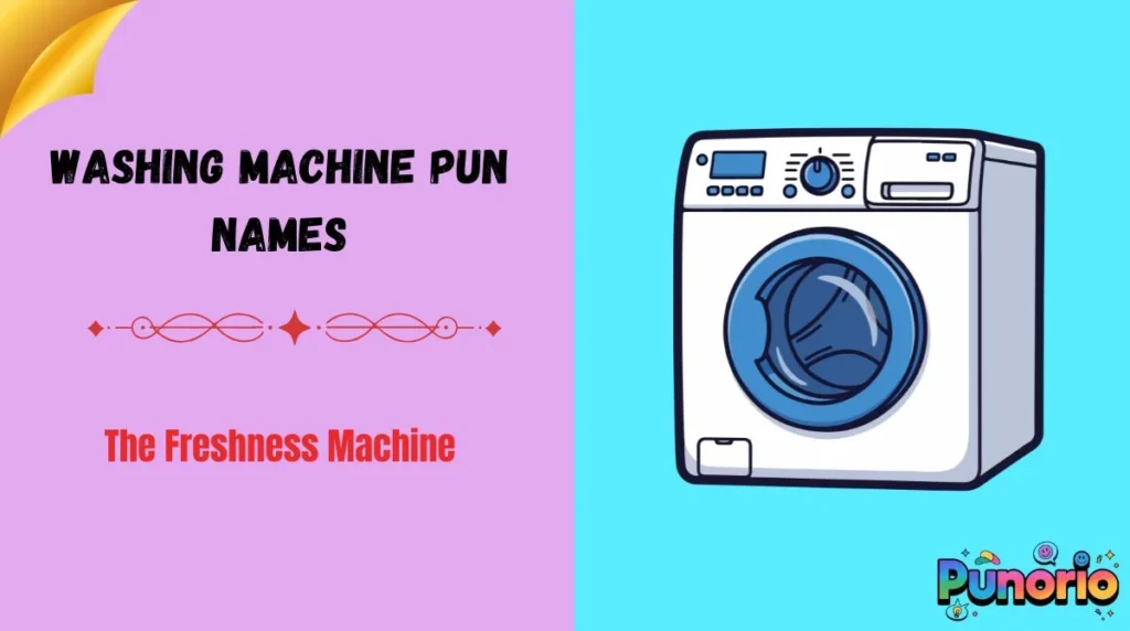 Washing Machine Pun Names