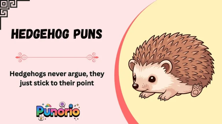 Hedgehog Puns