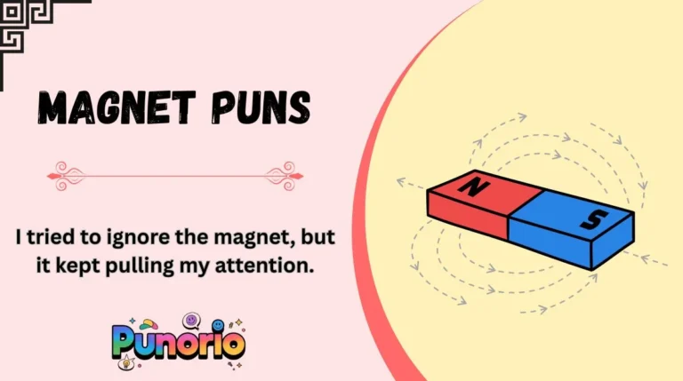 Magnet Puns