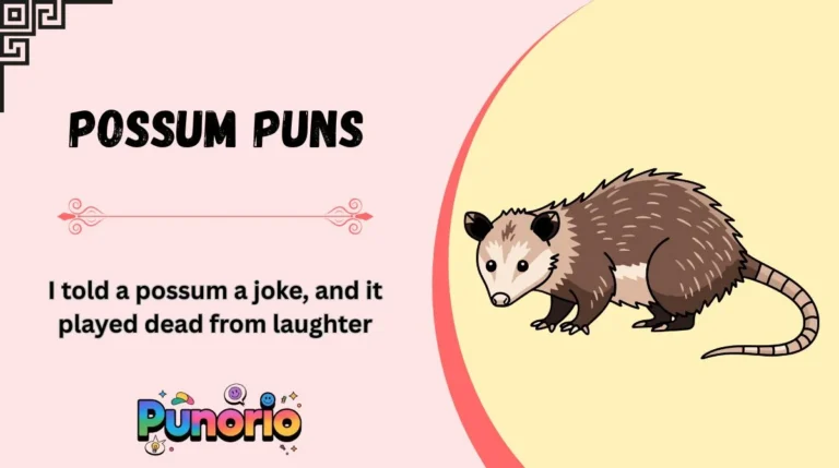 Possum Puns